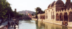 Pool_of_Sacred_Fish_Urfa_Turkey